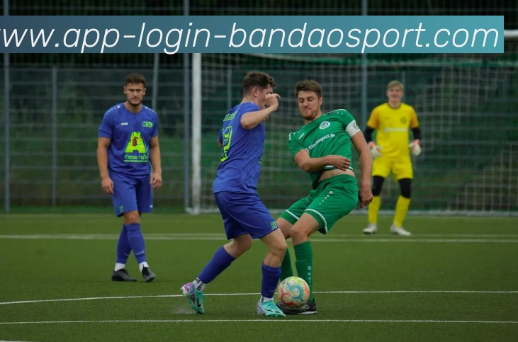 半岛体育品牌故事