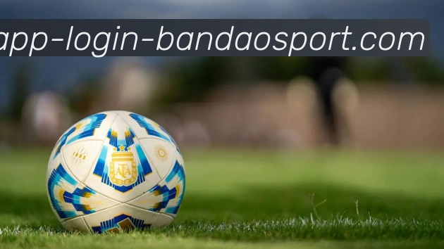 半岛体育服务体系